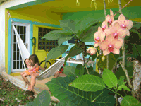 rest in hammock after el yunque tour