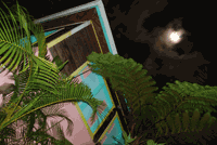 rainforest villas house