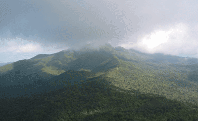 El Yunque Tour